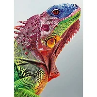 Wizardi Iguana Diamond Painting Kit