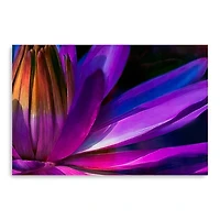 Retro Petals I Canvas Giclee