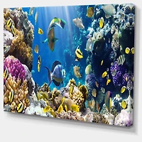 Designart - Fish in Coral Reef