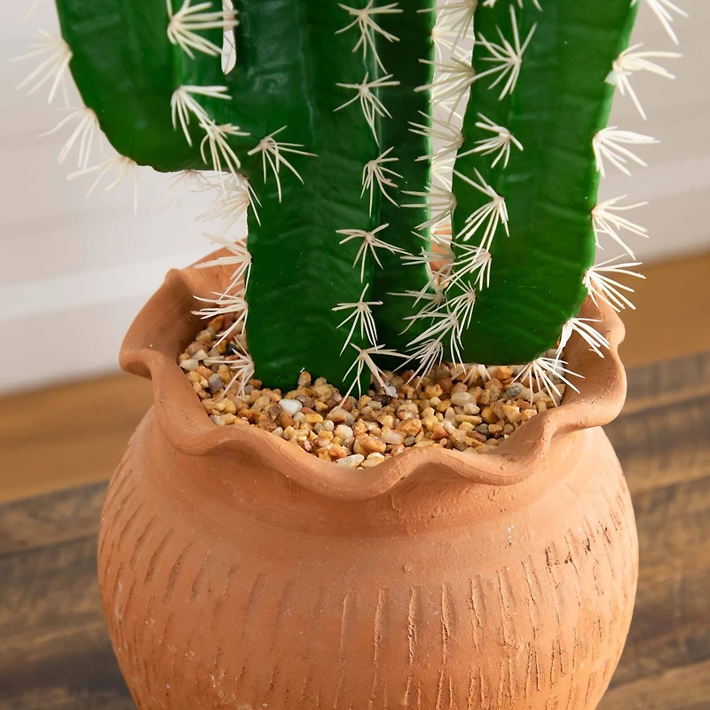 2ft. Cactus in Terracotta Planter
