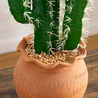 2ft. Cactus in Terracotta Planter