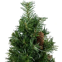 2ft. Unlit Dakota Pine Artificial Christmas Tree