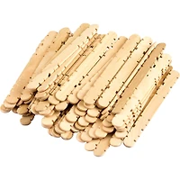 Teacher Created Resources STEM Basics Skill Sticks, 6 packs of 250