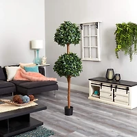 6ft. Potted Sweet Bay Double Ball Topiary Plant