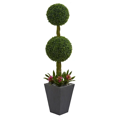 5ft. Double Boxwood Ball Topiary Tree with Bromeliads in Slate Planter