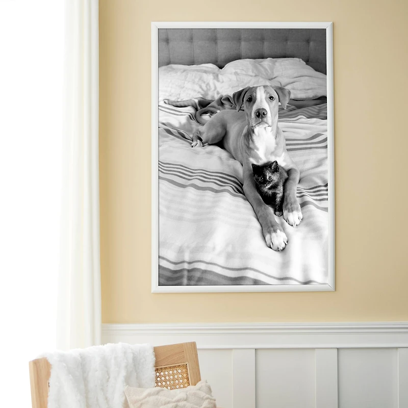 8 Pack: 24" x 36" White Poster Frame by Studio Décor™