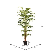 6ft. Potted Fern Palm with Real Touch Leaves