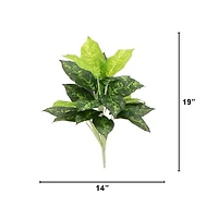 19" Artificial Dieffenbachia Plants, 6ct.