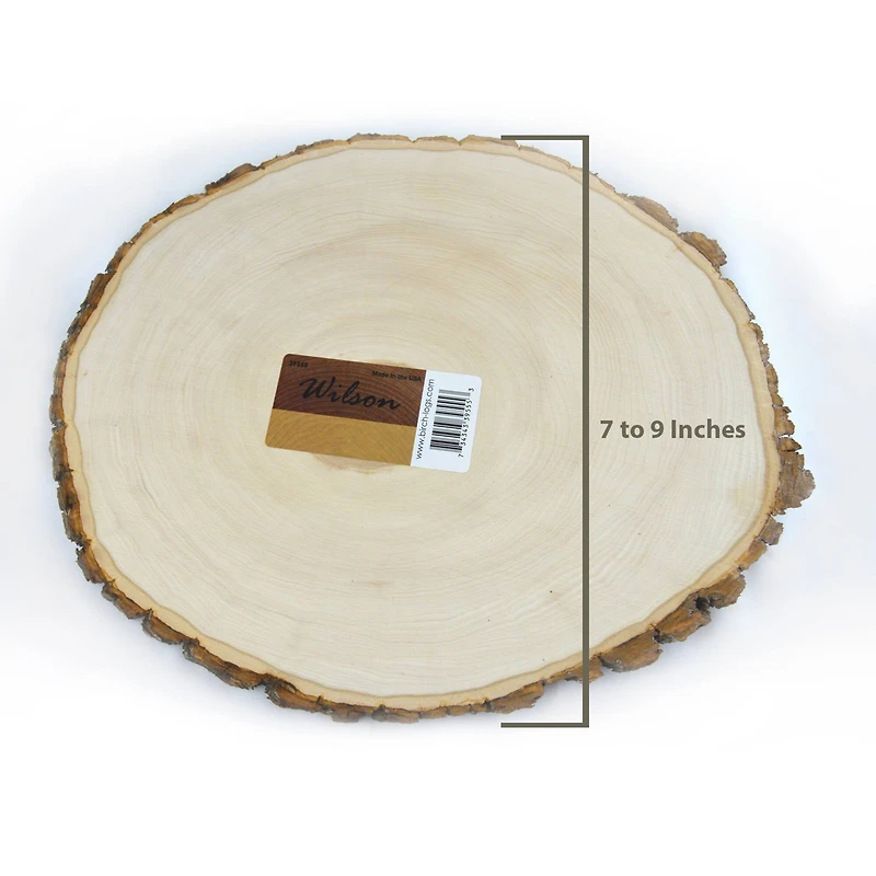 Wilson® Enterprises 10 Pack Medium Basswood Plaque