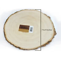 Wilson® Enterprises 10 Pack Medium Basswood Plaque