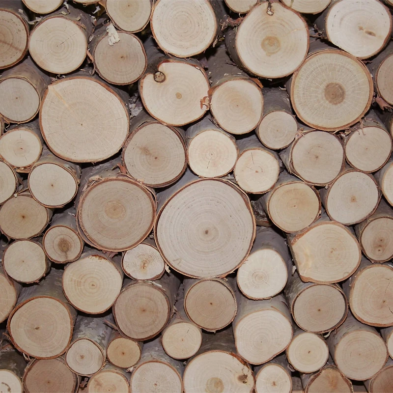 Wilson® Enterprises Birch Fill-A-Space