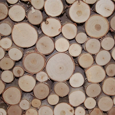 Wilson® Enterprises Birch Fill-A-Space