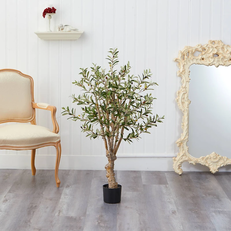 3.5ft. Potted Olive Tree