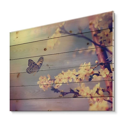 Designart - Vintage Butterfly Flying To A White Flower