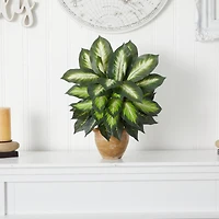 18" Dieffenbachia Tree In Ceramic Planter