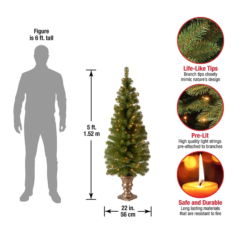 5 ft. Pre-Lit Montclair Spruce Entryway Potted Artificial Christmas Tree, Clear Lights