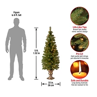 5 ft. Pre-Lit Montclair Spruce Entryway Potted Artificial Christmas Tree, Clear Lights