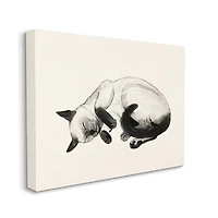 Stupell Industries Siamese Cat Nap Minimal Relaxed Pet Canvas Wall Art