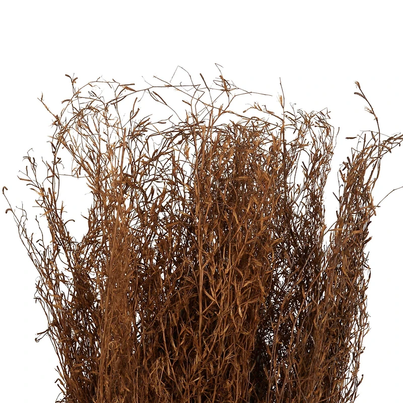 45" Brown Dried Natural Pampas Grass Foliage