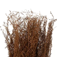 45" Brown Dried Natural Pampas Grass Foliage