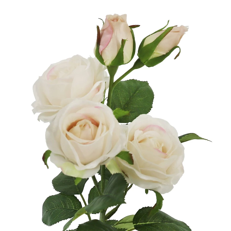 25" Cream Cabbage Rose Stem by Ashland®