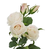 25" Cream Cabbage Rose Stem by Ashland®