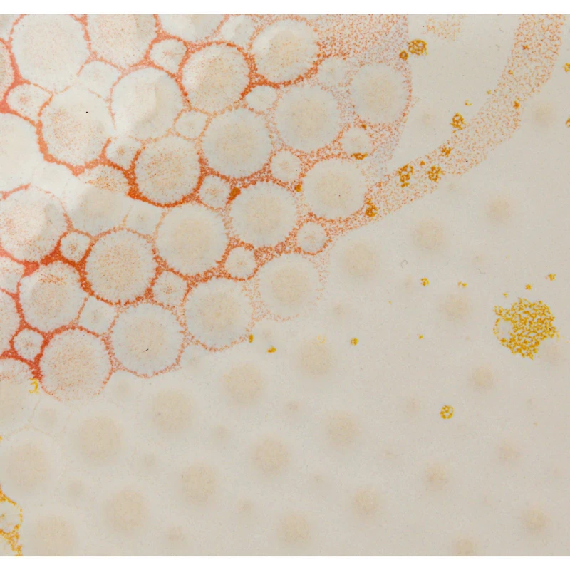 Hello Honey® 8.5" Abstract Elegance Stoneware Plate Set