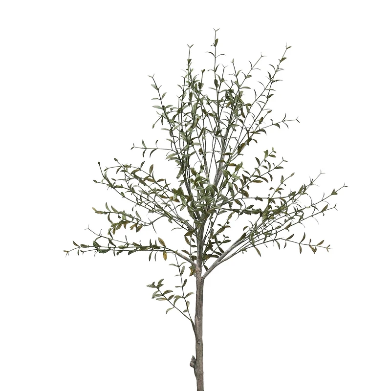 Hello Honey® 29" Potted Thyme Topiary Tree