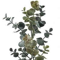 12 Pack: Green Eucalyptus Stem by Ashland®
