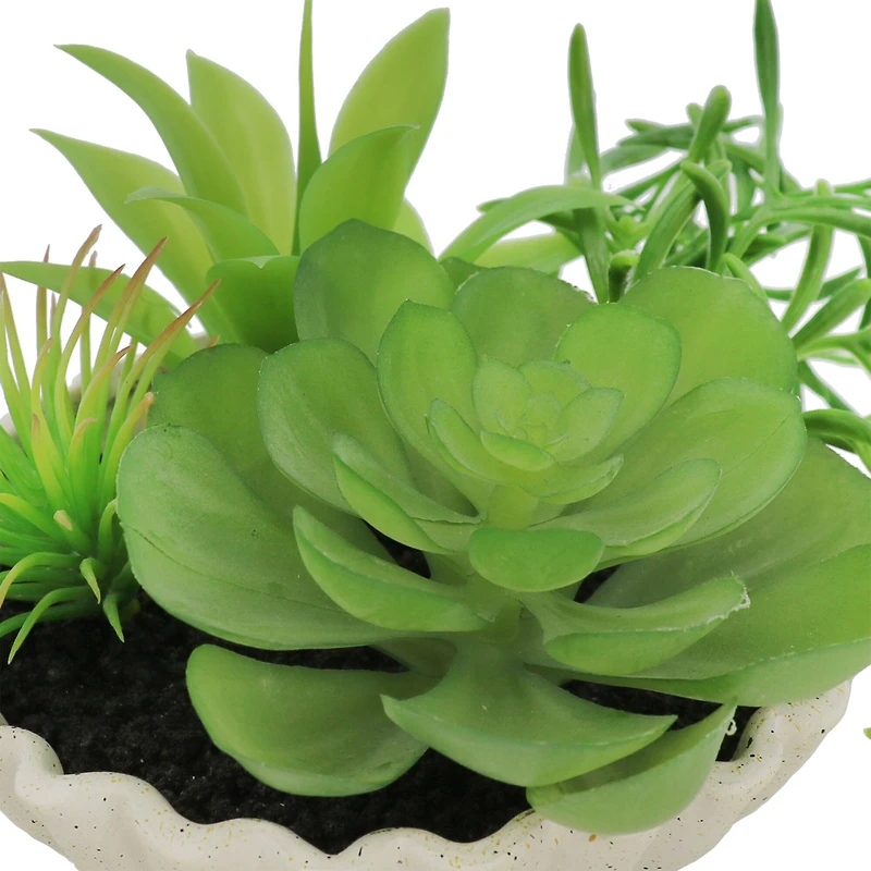 7" Premade Succulent Mix in Ceramic Ruffle Bowl by Ashland®
