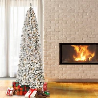 9ft. Pre-Lit Acacia Flocked Artificial Christmas Tree, Clear Lights