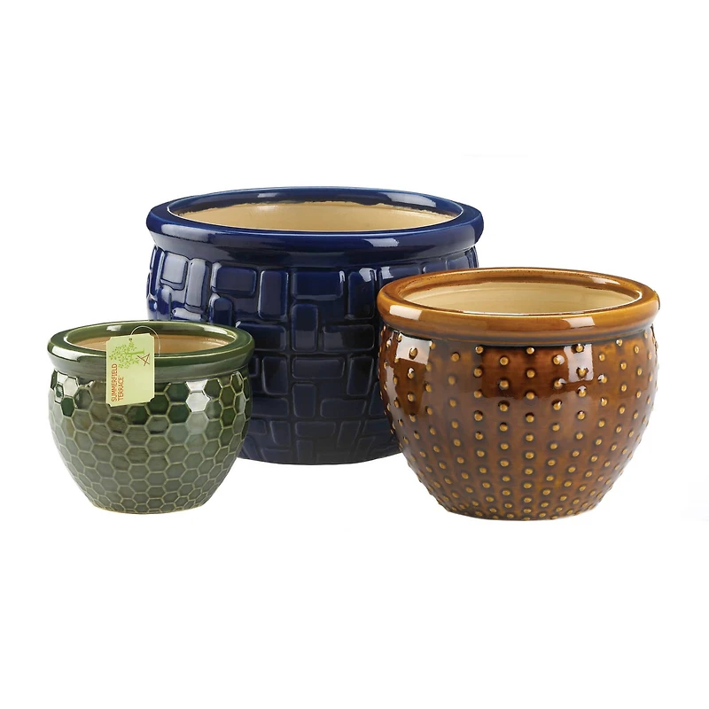 Designer Trio Ceramic Plant Set