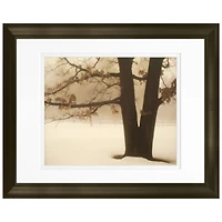 Timeless Frames® Tranquility Framed Print Wall Art