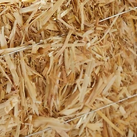12 Pack: 13" Decorative Straw Bale by Ashland®