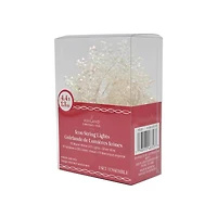 10ct. Warm White LED Iridescent Snowflake String Lights on Silver Wire by Ashland®