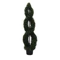 5ft. Green Boxwood Double Spiral Topiary Tree