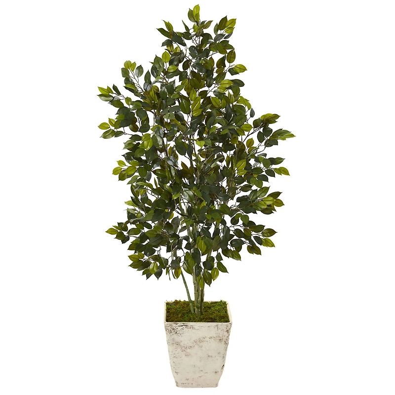 4.3ft. Ficus Tree in Country White Planter 