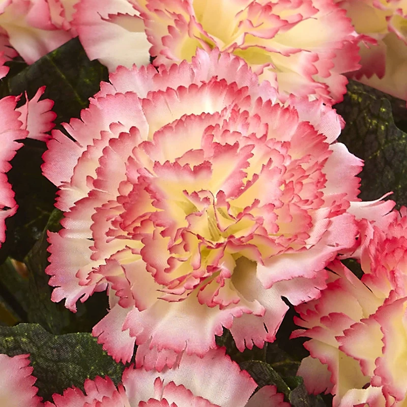 Carnation Arrangement In Vase
