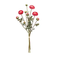 Red Ranunculus Bundle, 2ct.