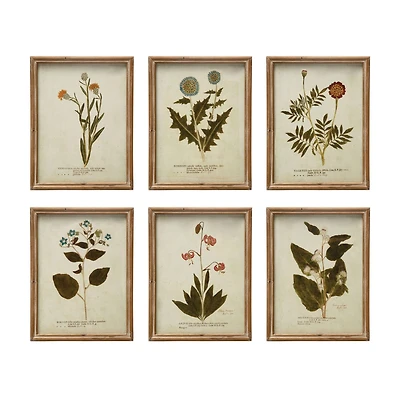 Hello Honey® Botanical Print Wood Framed Set