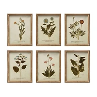 Hello Honey® Botanical Print Wood Framed Set