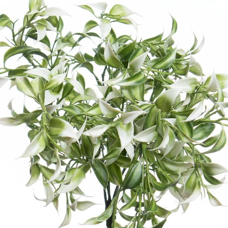 13" White Ruscus Bush by Ashland®