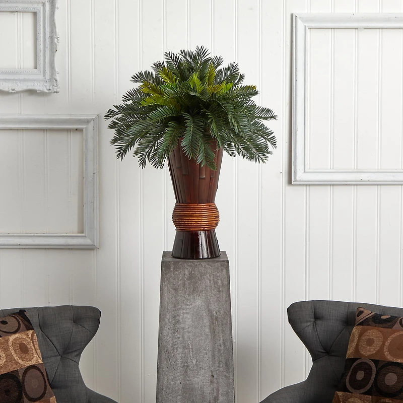 2.5ft Cycas Palm Tree in Bamboo Planter