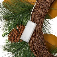 Glitzhome® 24" Pre-Lit Berry, Magnolia Leaf & Pinecone Wreath