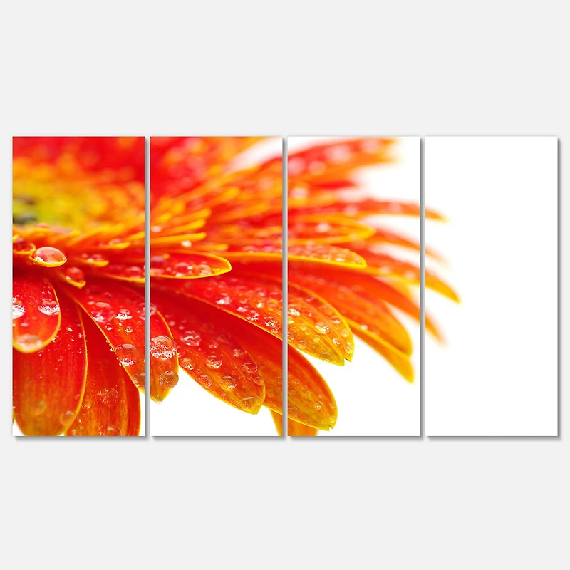 Designart - Orange Gerbera with Raindrops