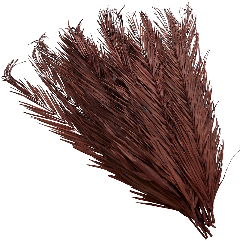 43" Natural Dried Plant Palm Leaf Bunch with Feather-Inspired Stems