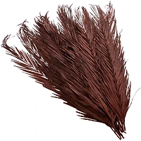 43" Natural Dried Plant Palm Leaf Bunch with Feather-Inspired Stems