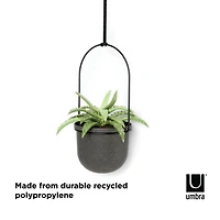 Umbra Black Triflora Hanging Planter Set