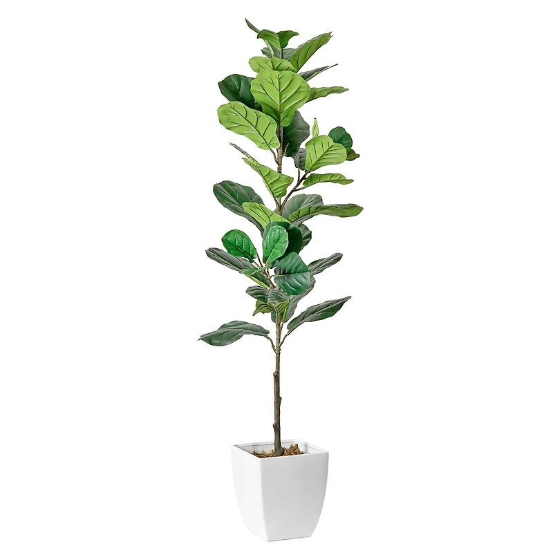 American Art Decor 5ft. Fiddle Fig Tree in White Ceramic Pot