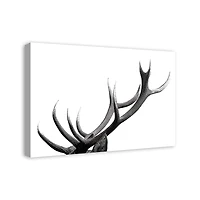 Modern Antlers 20" x 30" Canvas Wall Art